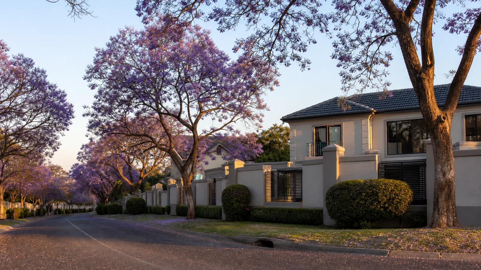 Editorial view of established Centurion residential property context in Celtisdal