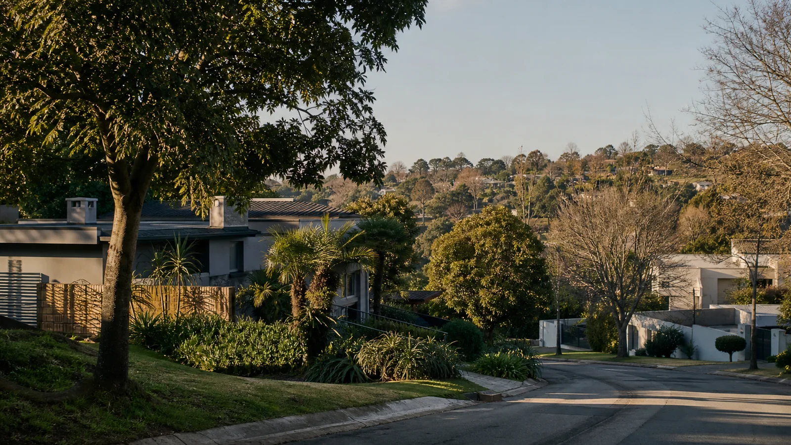 Editorial view of leafy established residential property context in Florida Glen