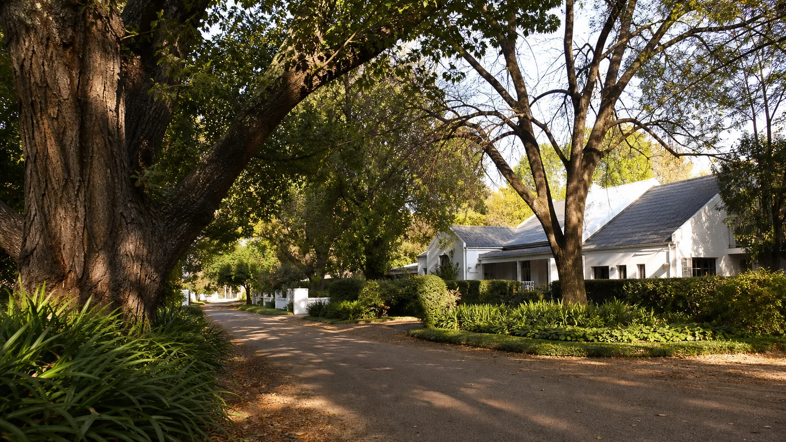 Electrician Irene | Wesslink Electrical Electrician Irene property and electrical service context in the Centurion area