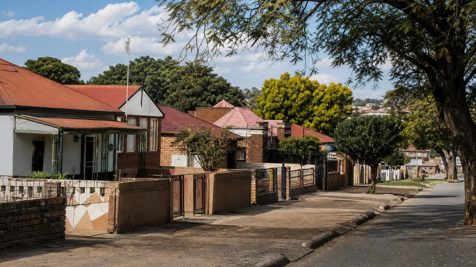 Editorial view of historic Soweto residential property context in Orlando West
